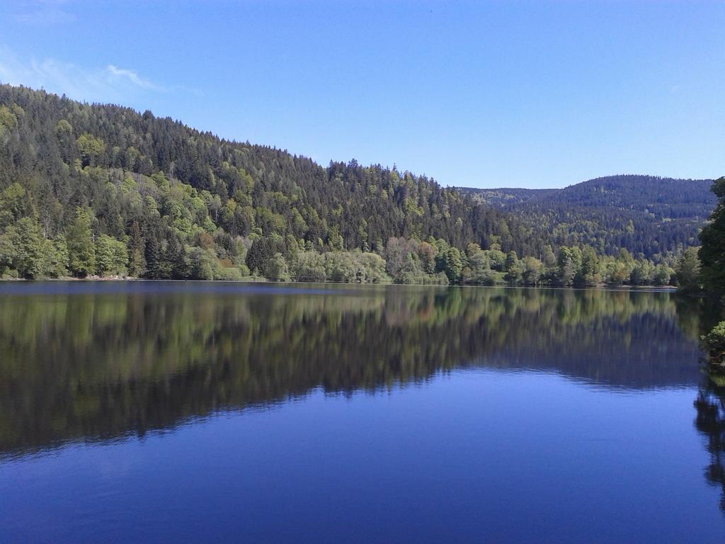 Pension Gasthaus Zur Schmiede Dachsberg im Schwarzwald Buitenkant foto