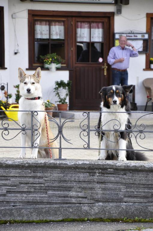 Pension Gasthaus Zur Schmiede Dachsberg im Schwarzwald Kamer foto