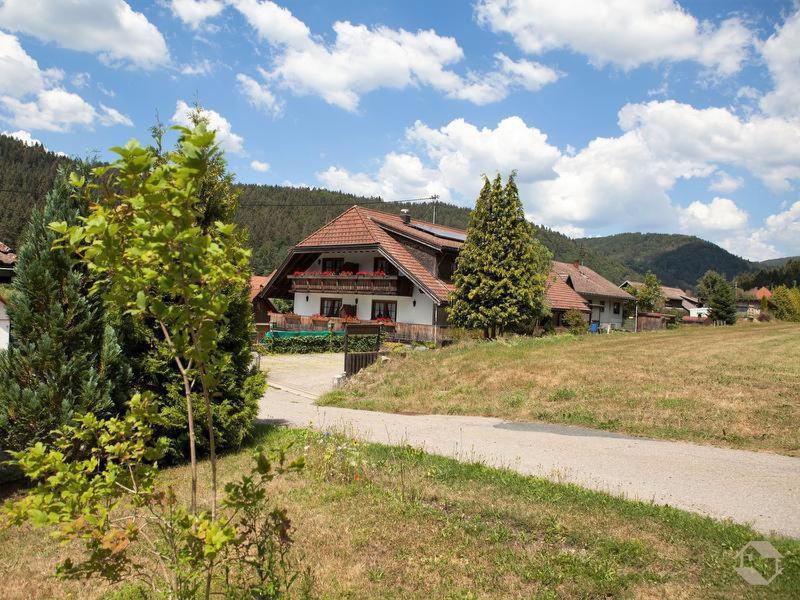 Pension Gasthaus Zur Schmiede Dachsberg im Schwarzwald Buitenkant foto